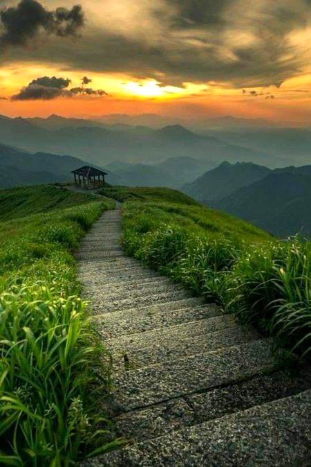 BEAUTIFUL NATURE