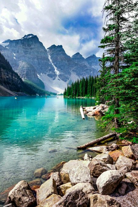 Beautiful Nature image