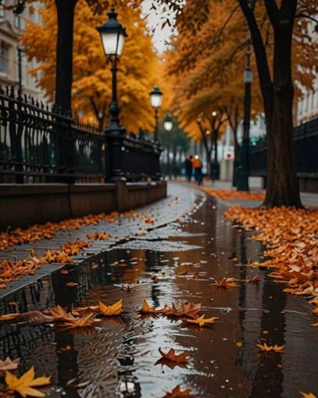 Beautiful Nature image