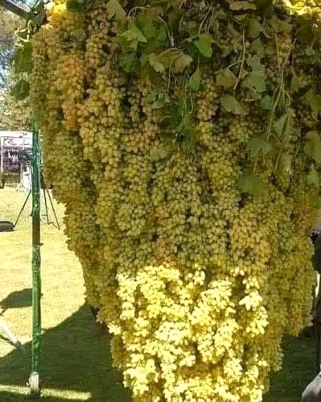 Beautiful Nature image