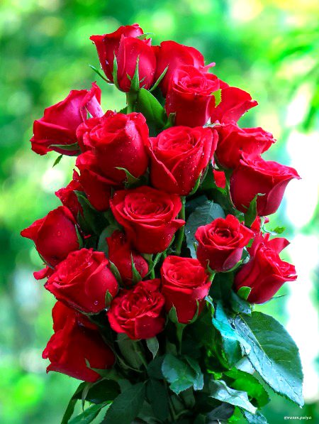 Beautiful Nature image