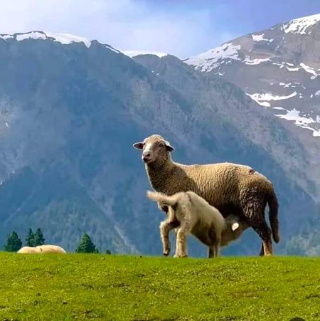 Beautiful Nature image