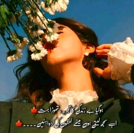 Sad Poetry image
