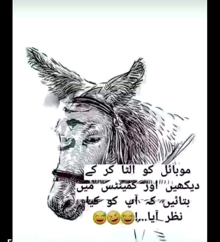 Ye nhi dekha to KUch bhi nhi dekha