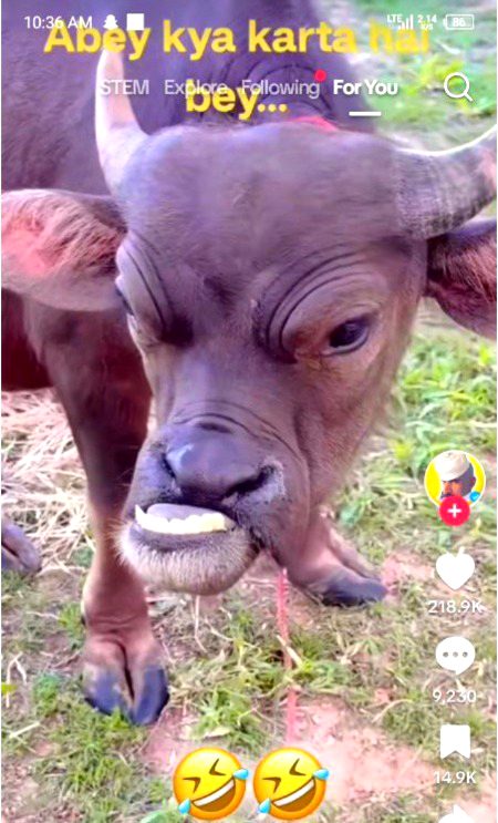 Unique heart ❤️❣️