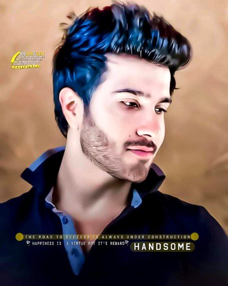 Pakistani Celebs image