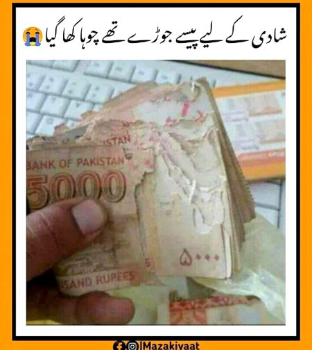 A0 ki badua lgi