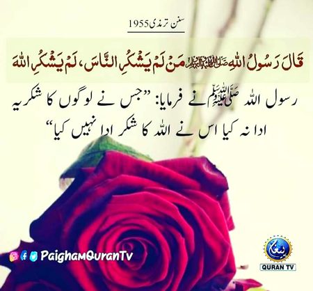 Islamic Quotes image