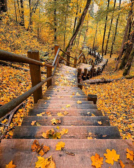 Beautiful Nature image