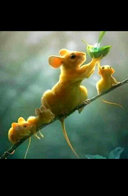 Maa maa he hoti hai..
