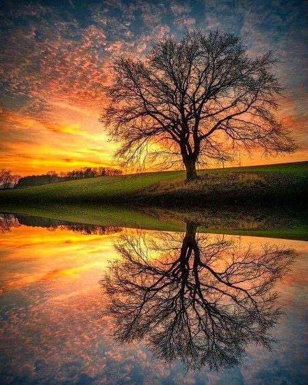 Beautiful Nature image