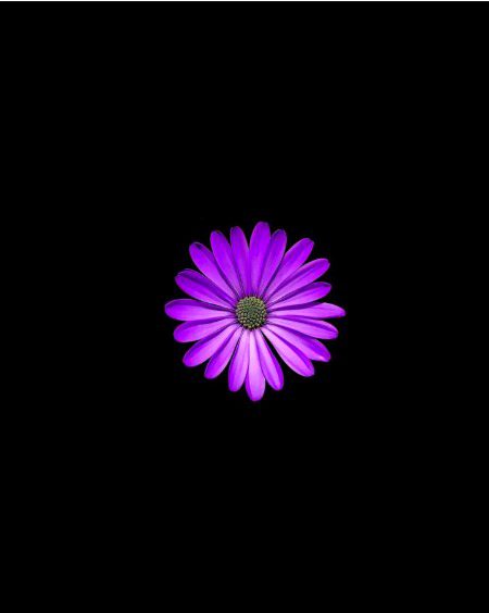 Digital Art image