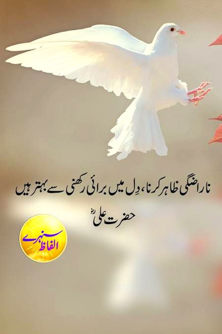 🍁Zoq_Shab🍁