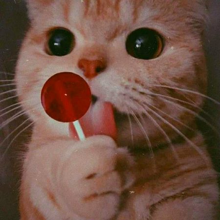So cute.m8