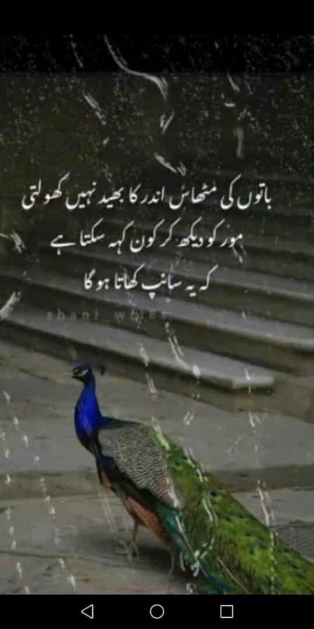 Life Advice image
