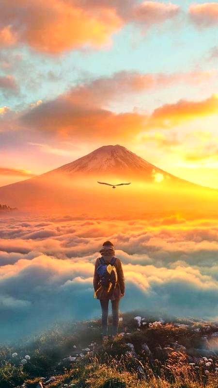 Beautiful Nature image