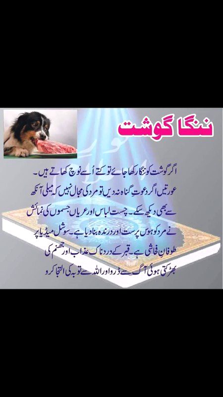 عشق ایک ایسا مرض ہے جو اللہ کی محبت کو دل سے نکال کر اس میں شیطان کی محبت کو پیوست کردیتا ہے اور آدمی کو پتہ بھی نہیں چلتا۔۔۔
محبت اور جنگ میں سب جائز ہے یہ وہ باطل جملہ ہےجو اکثر ہرظالم اور زانی کی زبان پر ہوتا ہے