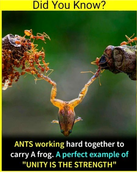 Interesting Posts image