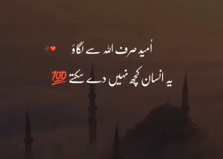 Life Advice image