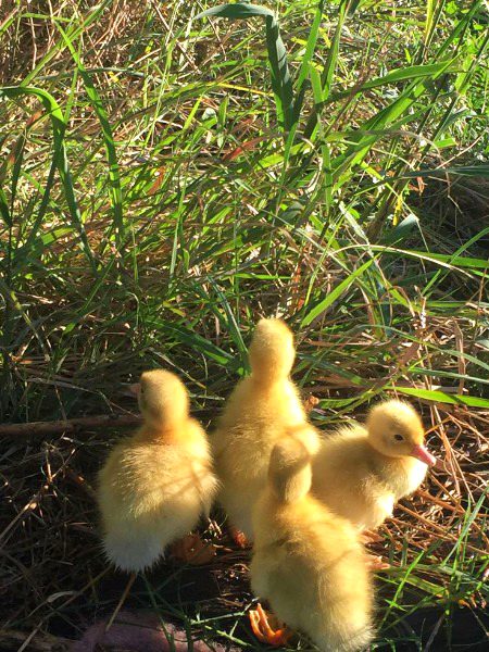 Beautiful Nature image