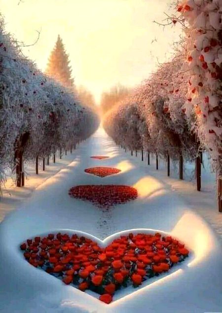 Beautiful Nature image