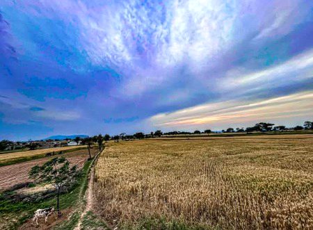 Beautiful Nature image