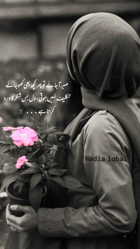 Motivational Quotes image