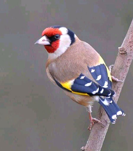 Beautiful Nature image