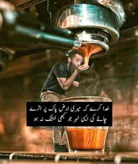 Memes & Satire image