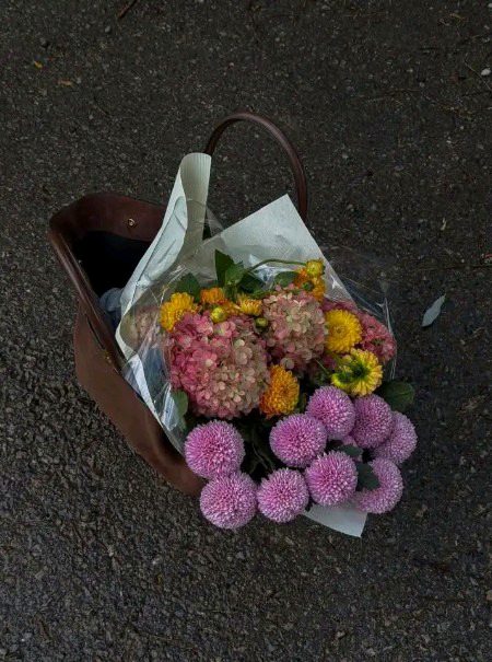 Beautiful Nature image