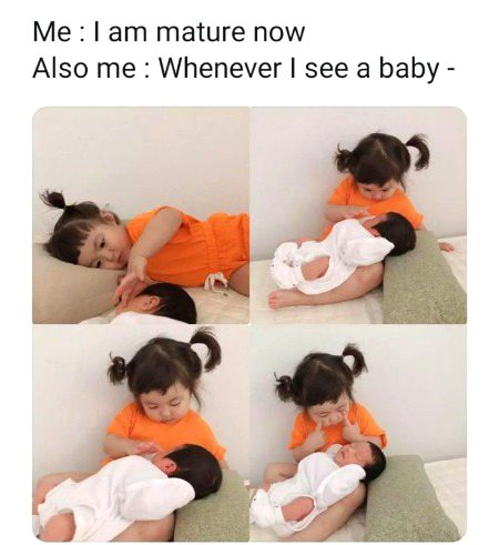 Memes & Satire image