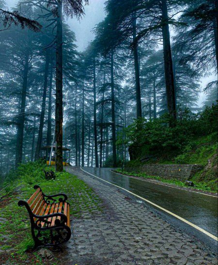 Beautiful Nature image