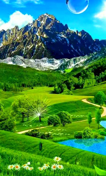 Beautiful Nature image