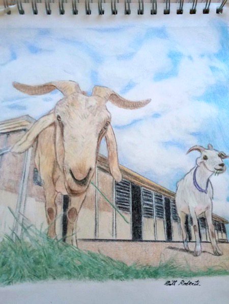 Paintings image