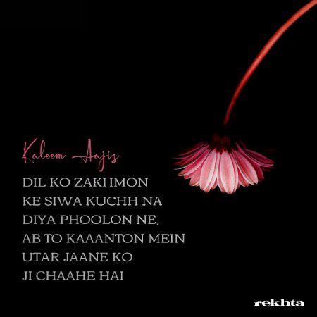 کوئقتل ہے مگر جانے کو جی چاہتا ہے - کلیم عاجز کی تحریر