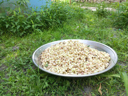 Kis kisko Pasand hai..??