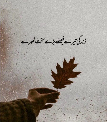 No caption...