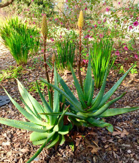 Beautiful Nature image