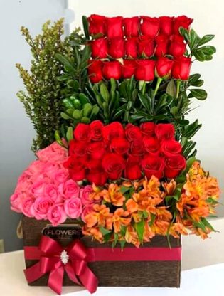 Beautiful Nature image