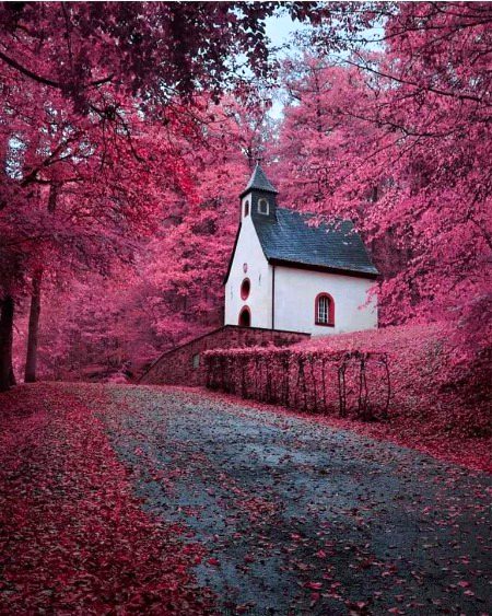 Beautiful nature💖💖💖