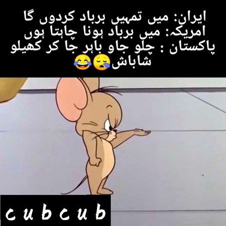 Memes & Satire image