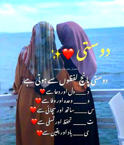 Teri meri j dosti👍👍