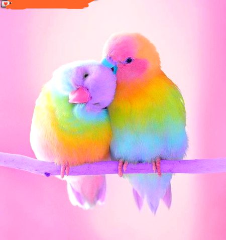 Beautiful Nature image