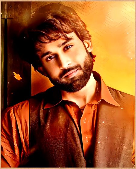 Pakistani Celebs image