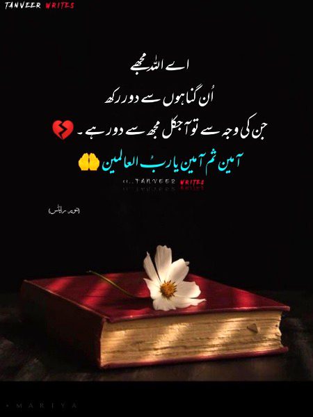 Islamic Quotes image
