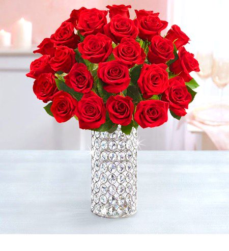 Red roses🌹