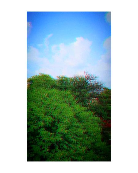 کسی کا سکون برباد نہ کرو ___سکون مل جائے گا🕊️🌼