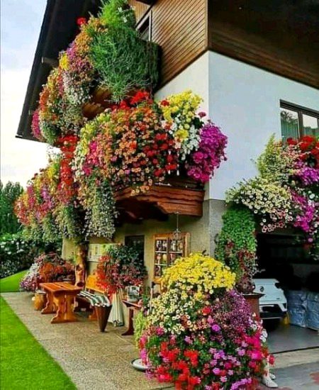 Beautiful Nature image