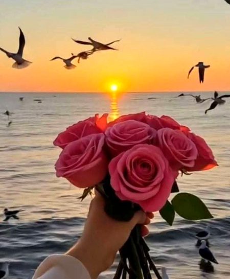 Beautiful Nature image