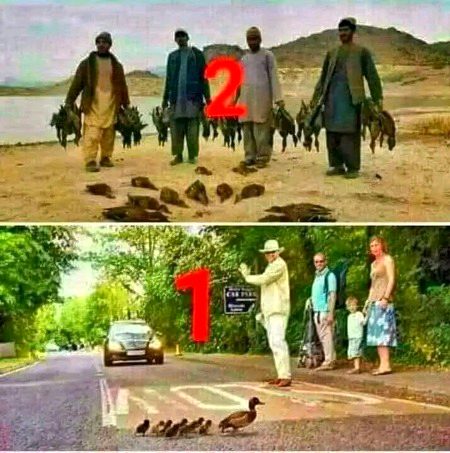 *اگر اعمال عدل کے ترازو پر تُل گئے تو.*
*جنت کا ایک بڑا حصّہ غیر مسلم لے جائیں گے...!!!🤐*